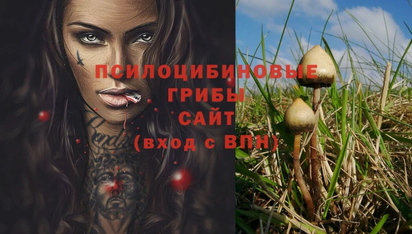 стафф Верея