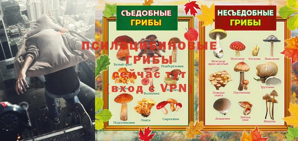 СК Надым