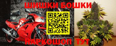 прущие грибы Аргун