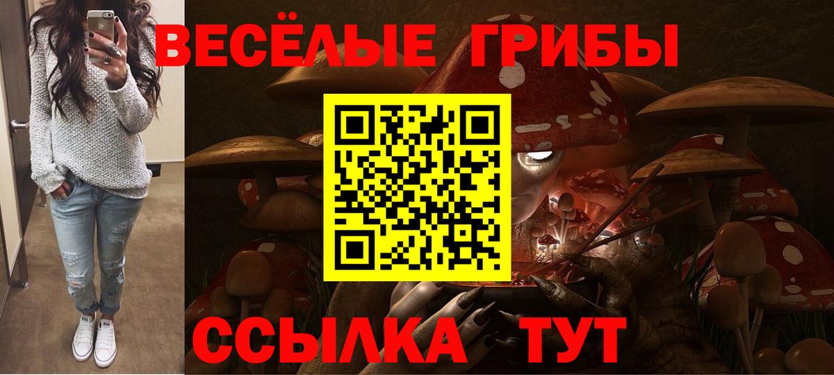 Галлюциногенные грибы мицелий Кувандык